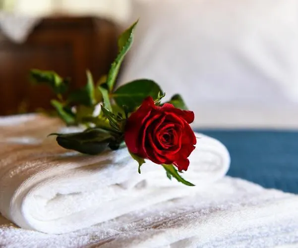 Blue Nest - Nests スキアトスタウン