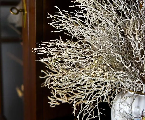 Blue Nest - Nests スキアトスタウン